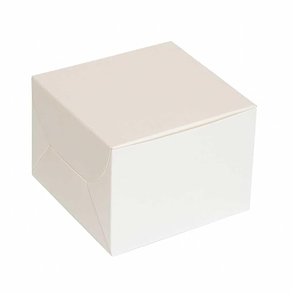 5x5x4 inch White - Pack of 10 (Premium ITC Made)